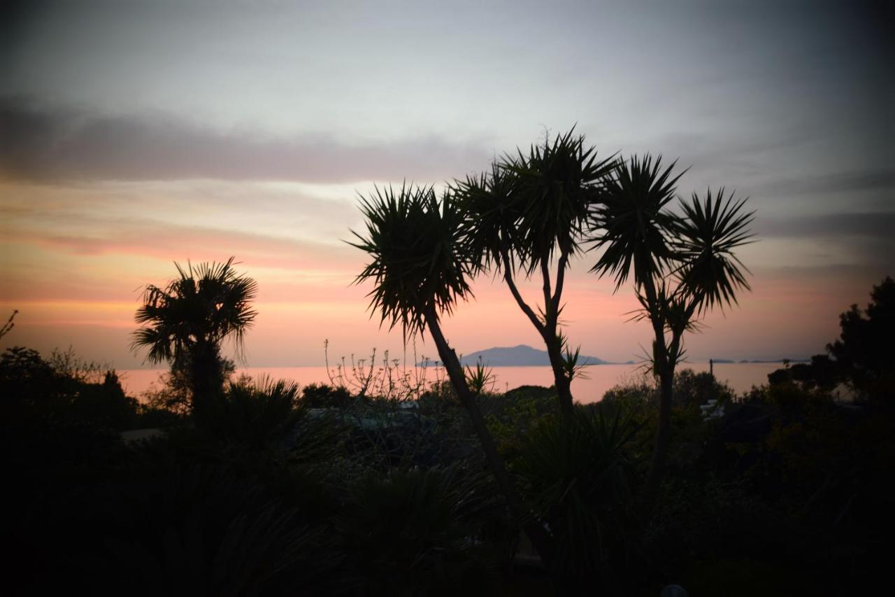 Damecuta Bed & Breakfast Anacapri (Isola di Capri)