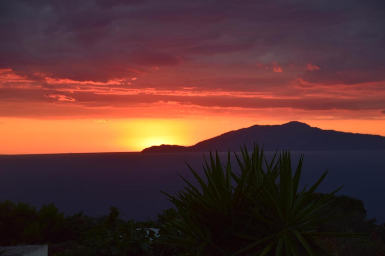 Damecuta Anacapri (Isola di Capri)