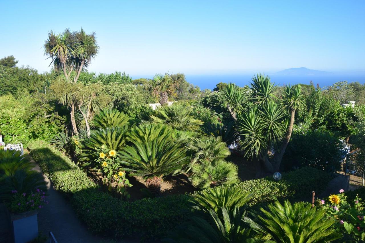Damecuta Anacapri (Isola di Capri)
